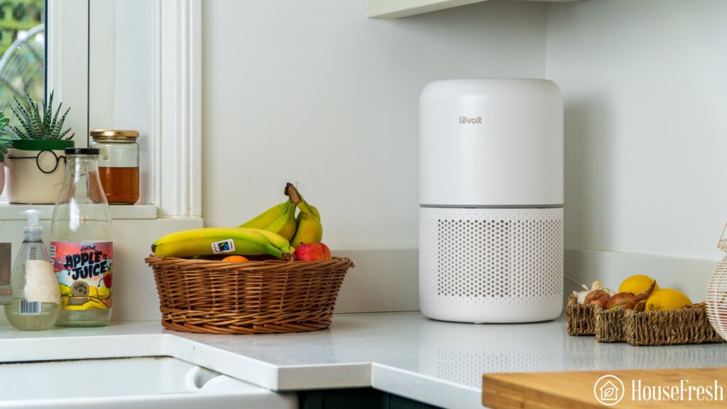 Levoit Core 300 Kitchen Close Up