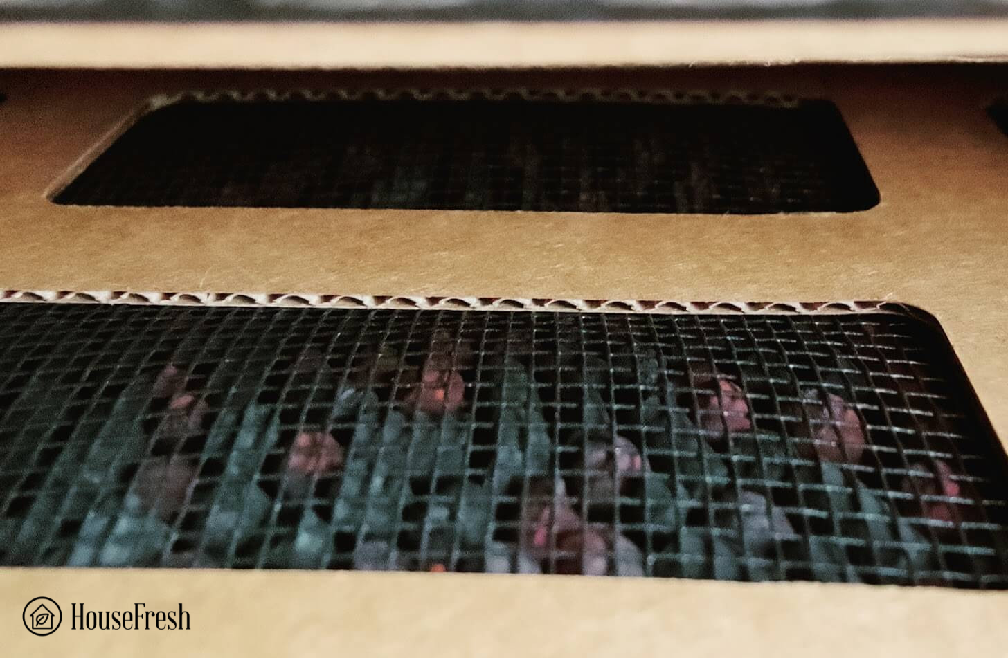 IQAir Healthpro Plus V5 Cell Close Up